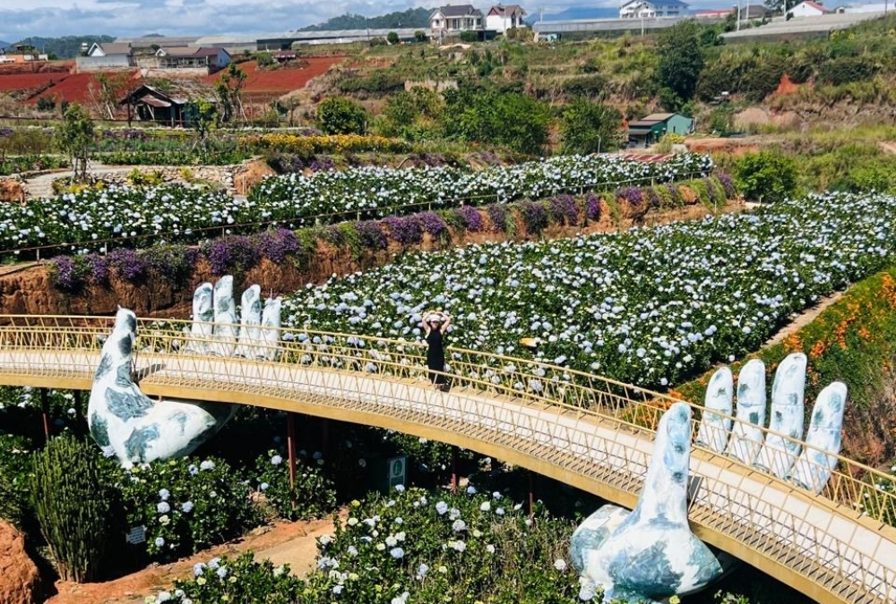 The Golden Bridge