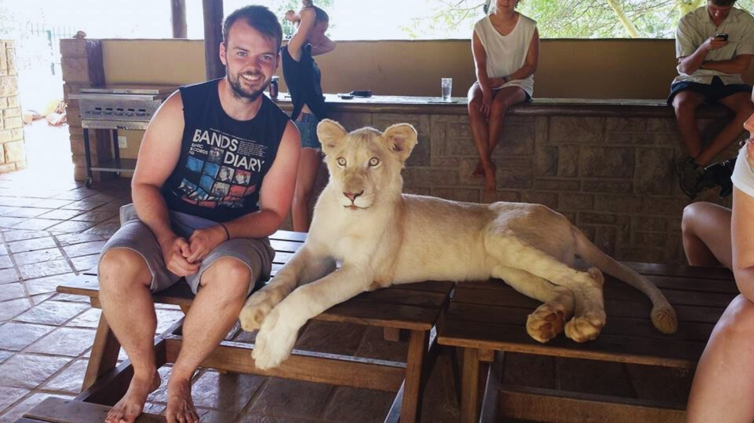 Volunteering South Africa with Big Cats featured image