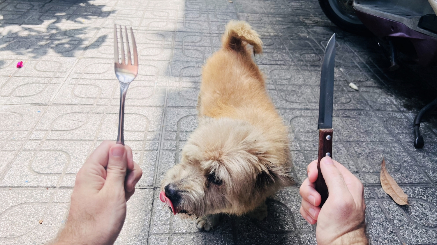 Vietnamese Dog Meat Trade featured image