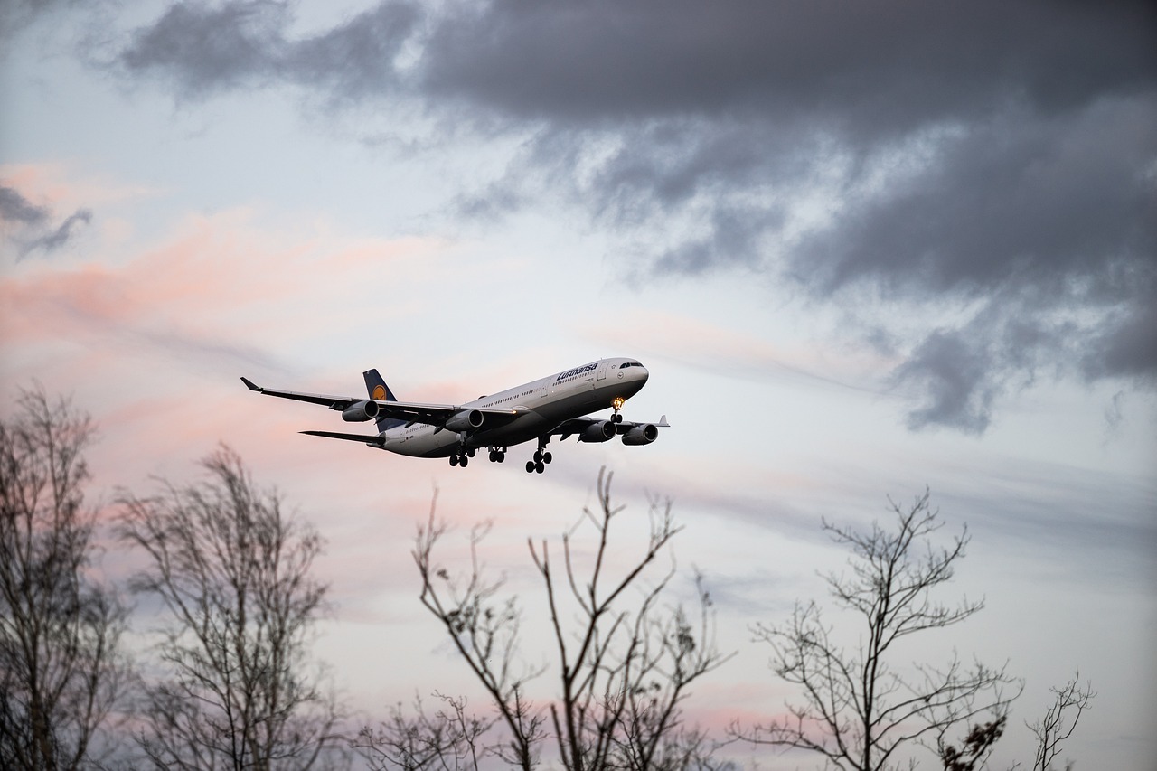 The Best Roaming Solutions for International Travel