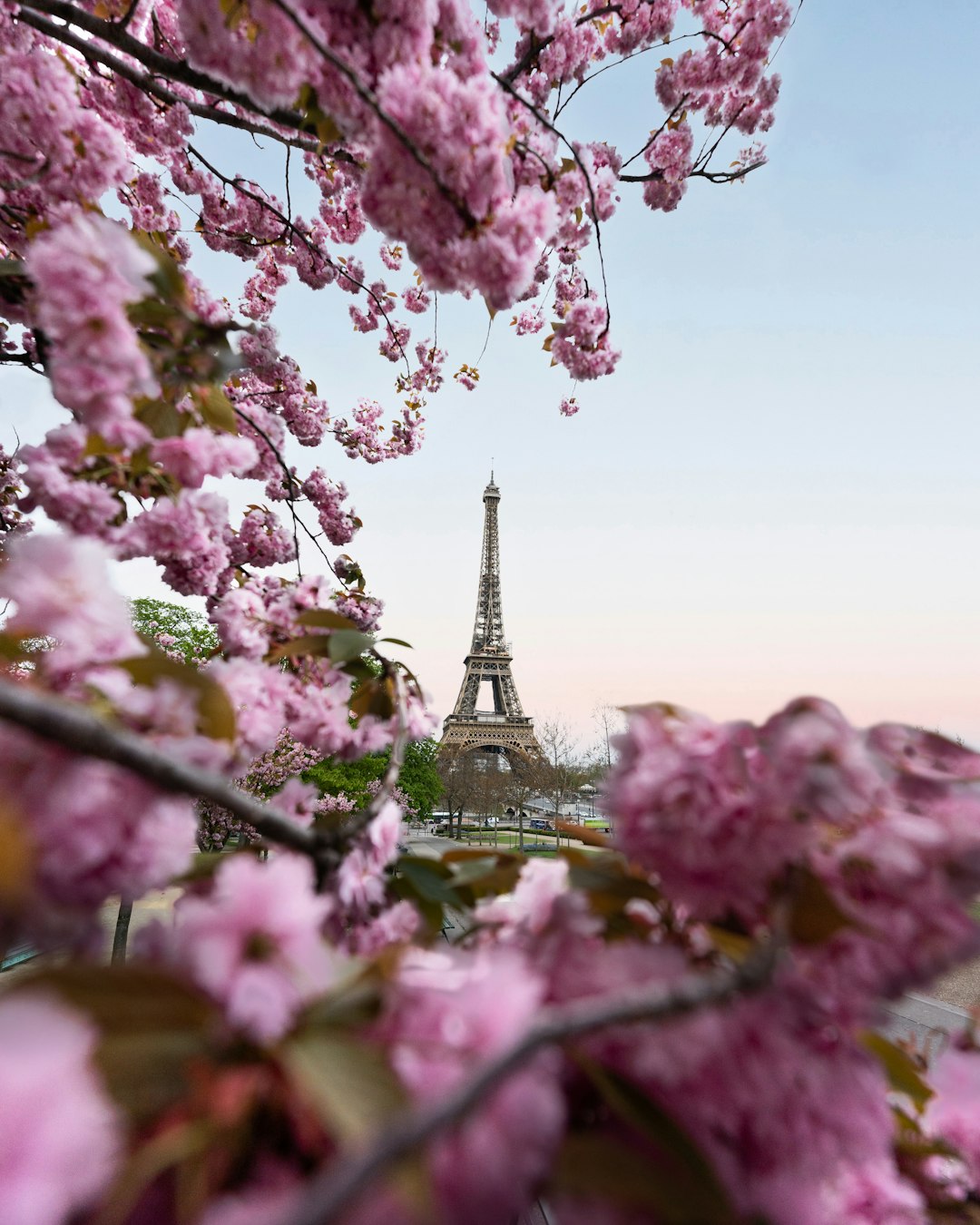 Deal of the day: Fly to Paris this spring starting at 12,000 Virgin points