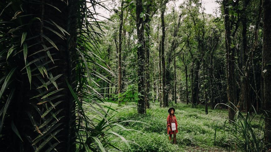 I Stayed in an 'Indigenous-Led' Lodge in Canada: The Life-Changing Lesson I Learned About Land