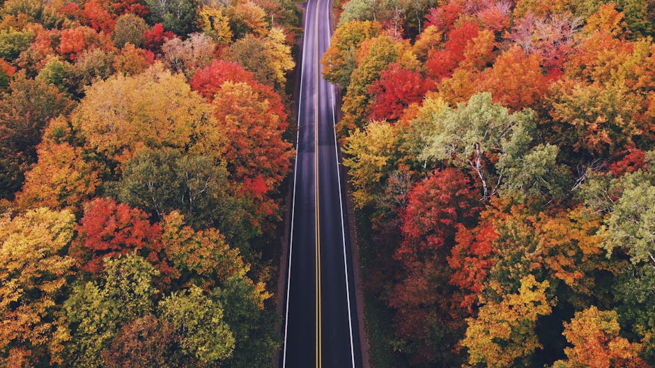 Best Fall Travel Destinations (Not Just for Leaf Peepers)