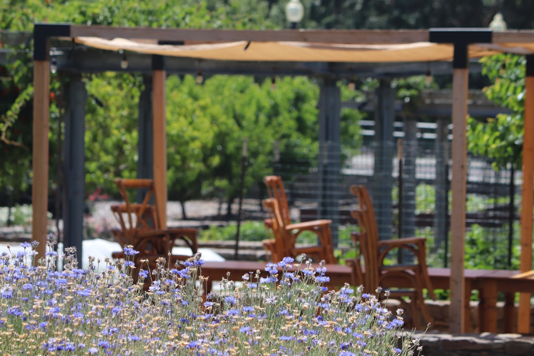 Woman buys stunning Napa winery her fiancé owned 30 years after his horrific murder-suicide