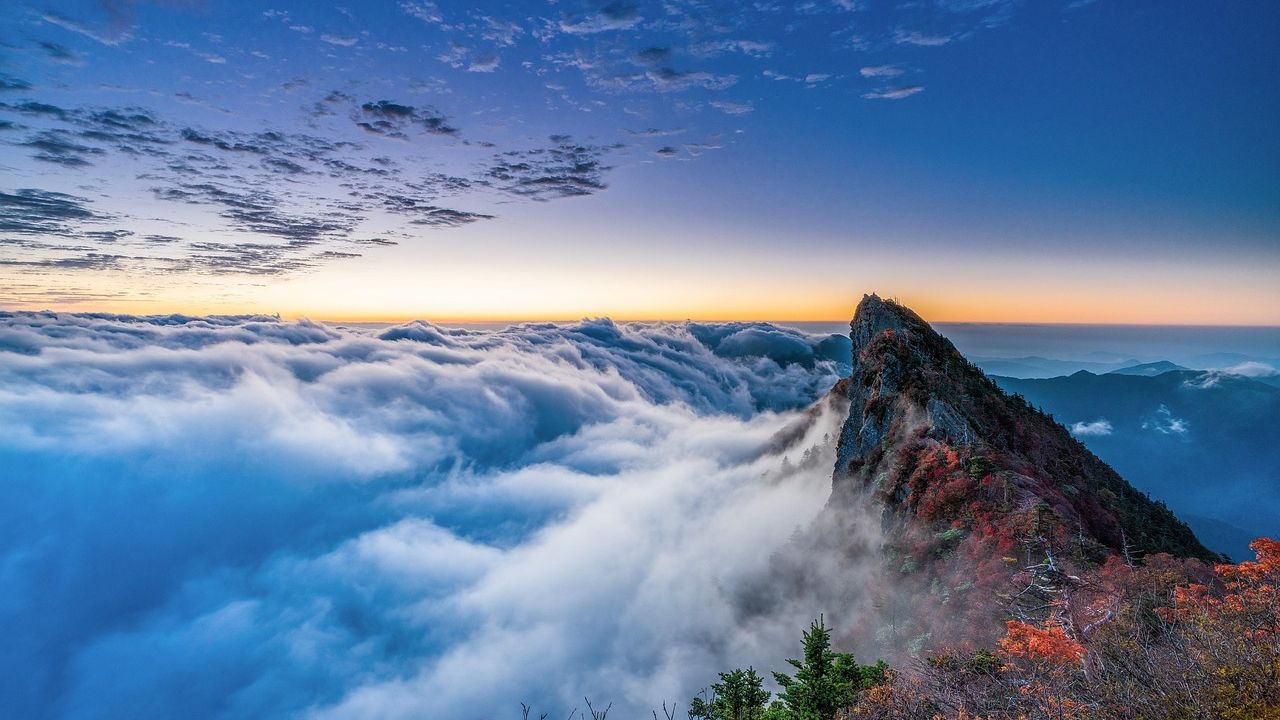 The "Lost Coast" Inland Ridge: How to See the Pacific Without Checking the Tide Charts