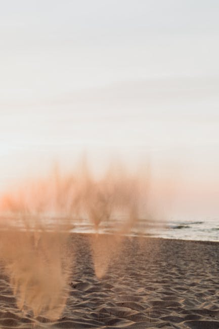 Near the shrinking Salton Sea, children's lungs may pay a price