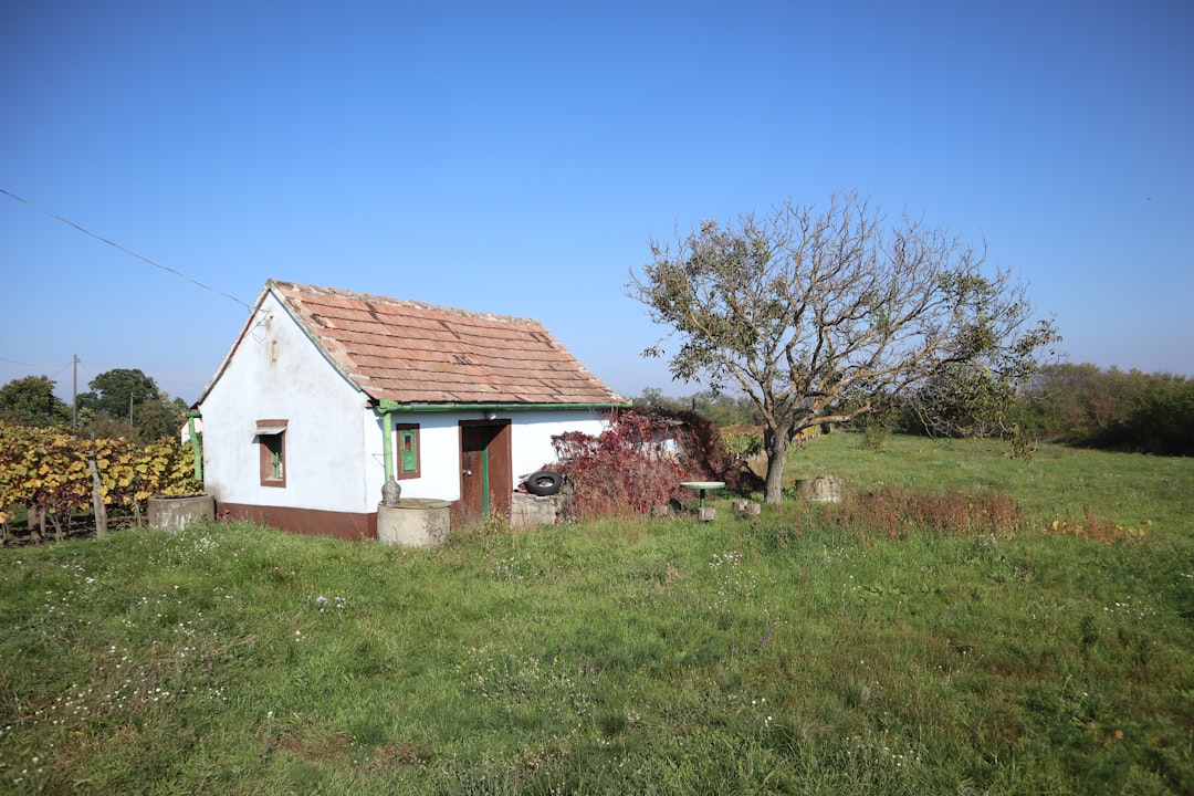 Hungary’s Best Tourism Villages: Scenic Countryside Escapes for Authentic Rural Travel