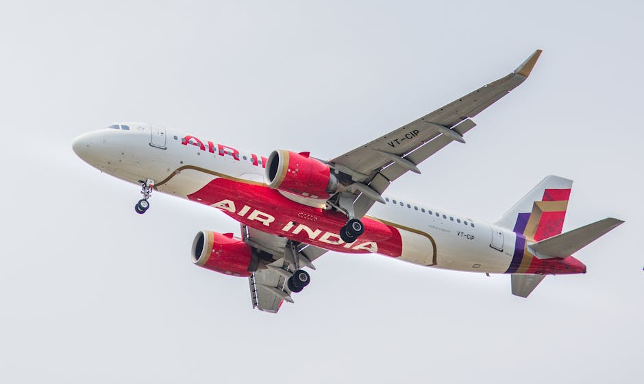 Air India Maharaja Club: How to earn and redeem points, get elite status and more