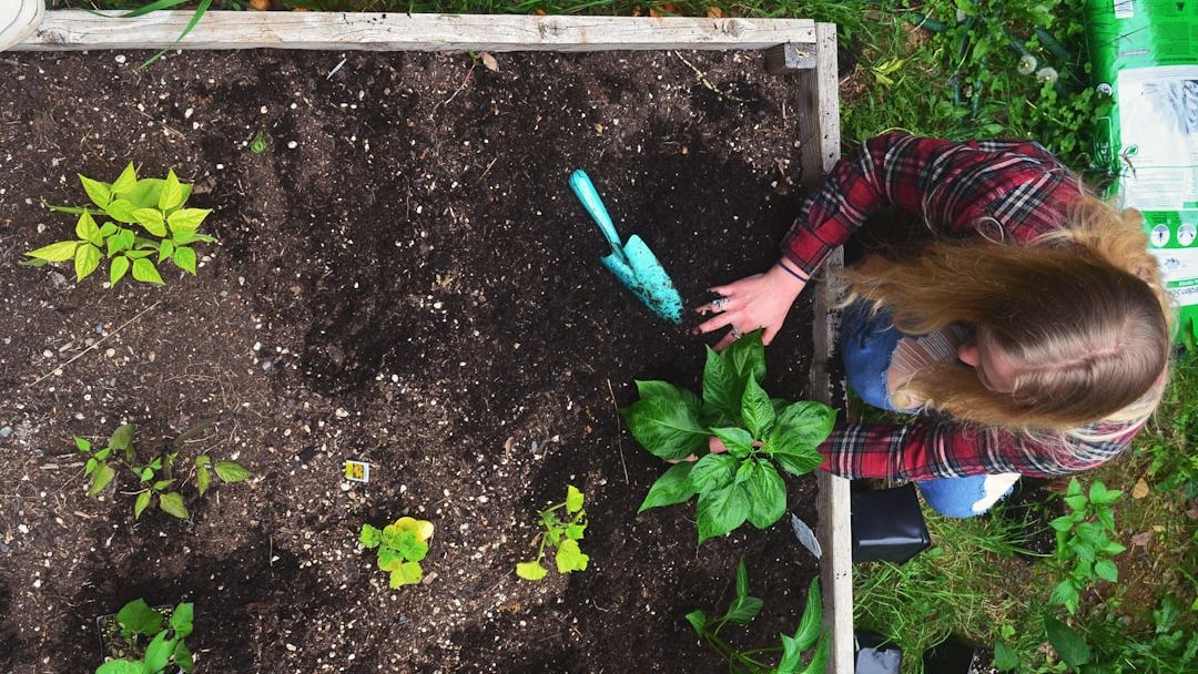 15 Soil Secrets That Turn Struggling Garden Beds Into Something Worth Showing Off